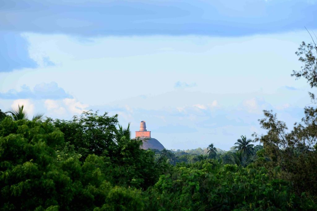 Sacred City Tourist Resort Anuradhapura Bagian luar foto